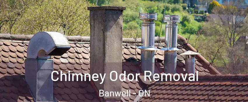  Chimney Odor Removal Banwell - ON