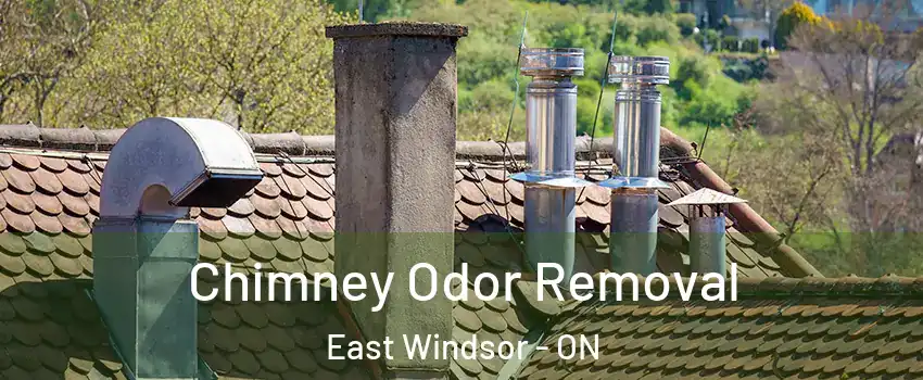  Chimney Odor Removal East Windsor - ON