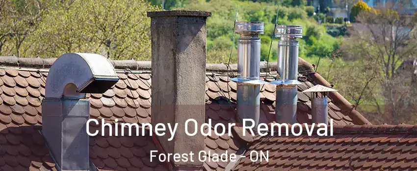  Chimney Odor Removal Forest Glade - ON
