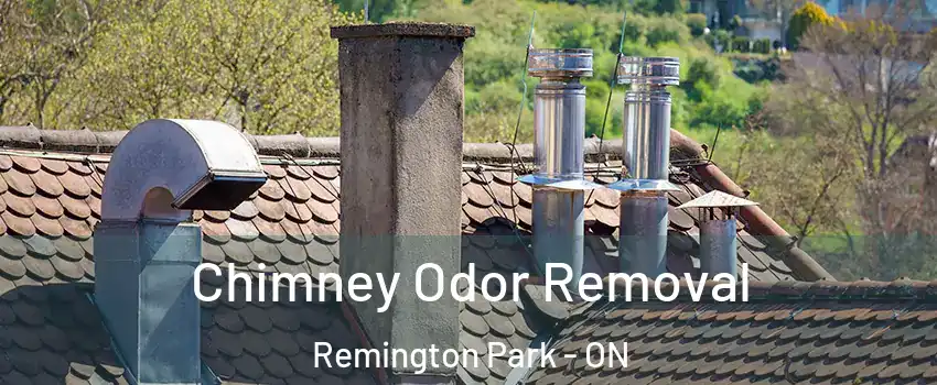  Chimney Odor Removal Remington Park - ON