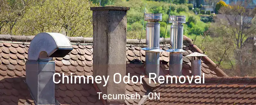  Chimney Odor Removal Tecumseh - ON