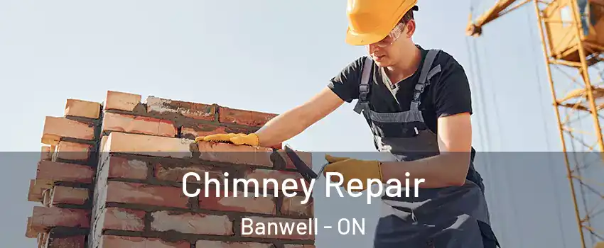  Chimney Repair Banwell - ON