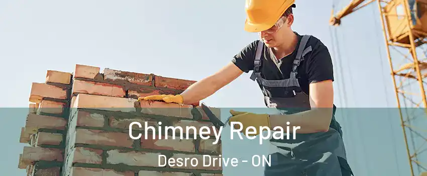  Chimney Repair Desro Drive - ON