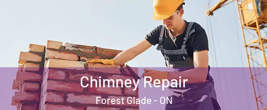  Chimney Repair Forest Glade - ON
