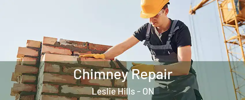  Chimney Repair Leslie Hills - ON