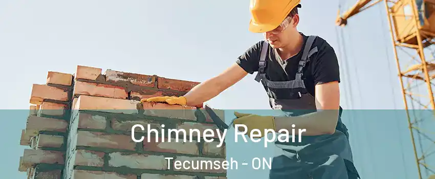  Chimney Repair Tecumseh - ON