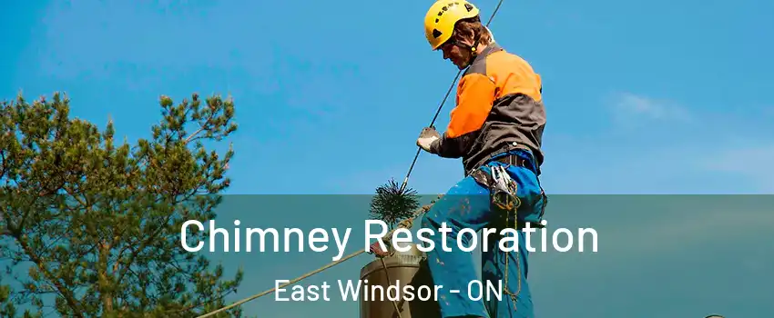  Chimney Restoration East Windsor - ON