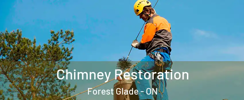  Chimney Restoration Forest Glade - ON