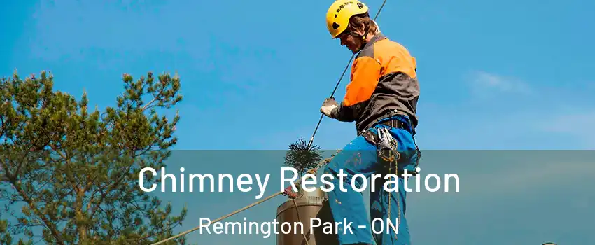  Chimney Restoration Remington Park - ON