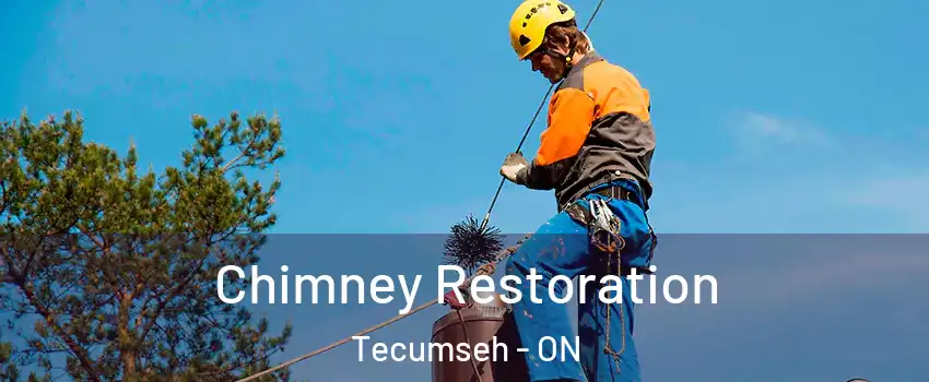  Chimney Restoration Tecumseh - ON