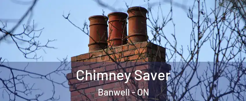  Chimney Saver Banwell - ON