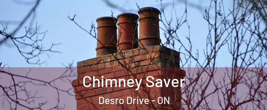  Chimney Saver Desro Drive - ON
