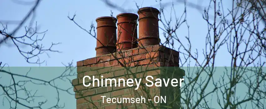  Chimney Saver Tecumseh - ON