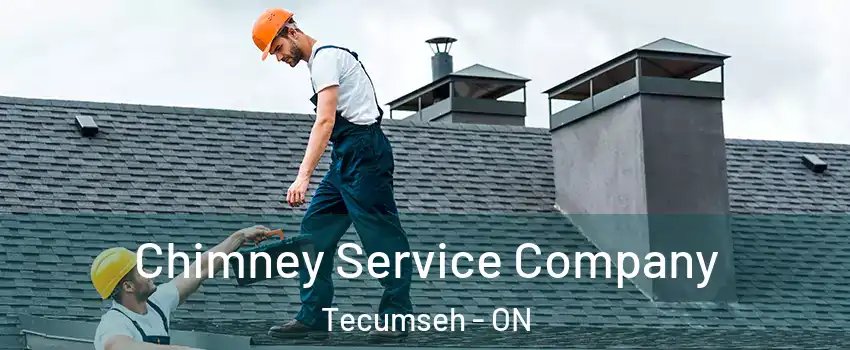  Chimney Service Company Tecumseh - ON