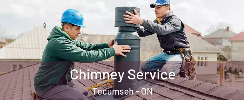  Chimney Service Tecumseh - ON