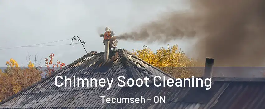 Chimney Soot Cleaning Tecumseh - ON