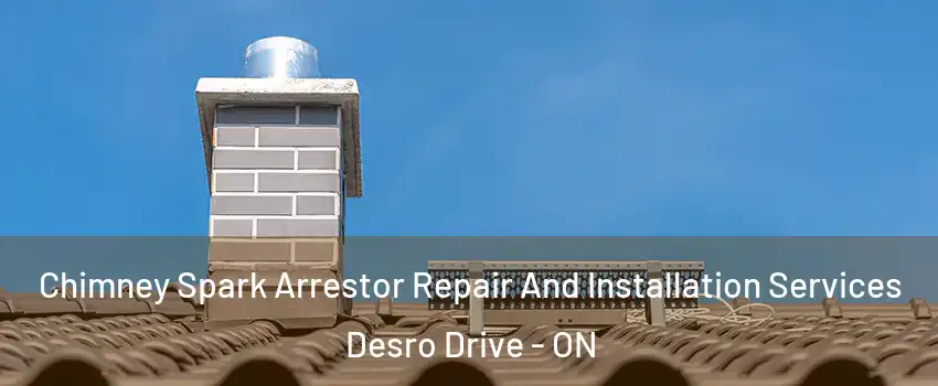  Chimney Spark Arrestor Repair And Installation Services Desro Drive - ON