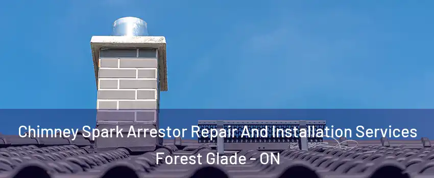  Chimney Spark Arrestor Repair And Installation Services Forest Glade - ON