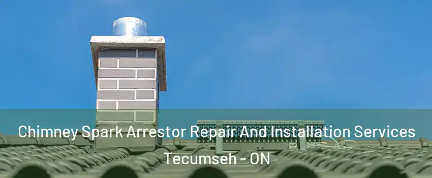  Chimney Spark Arrestor Repair And Installation Services Tecumseh - ON