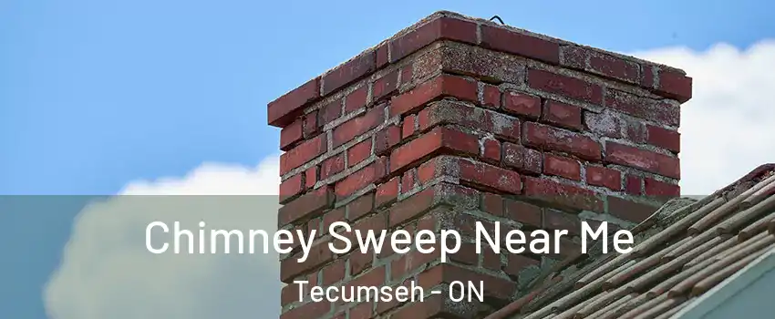  Chimney Sweep Near Me Tecumseh - ON