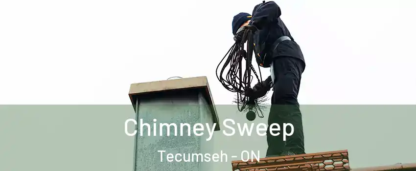  Chimney Sweep Tecumseh - ON