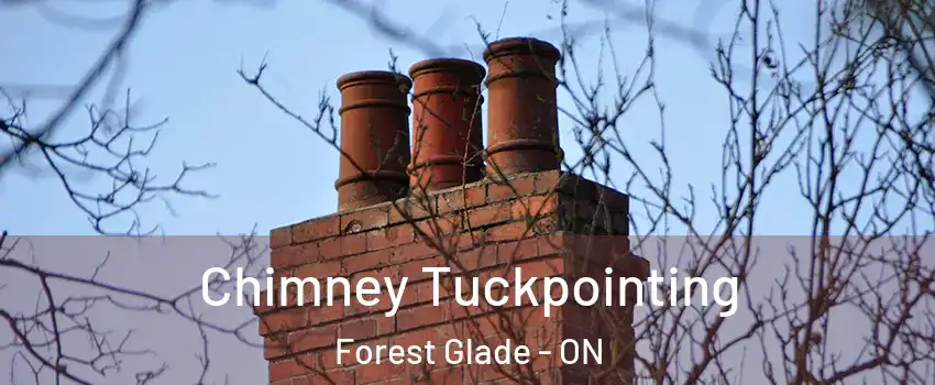  Chimney Tuckpointing Forest Glade - ON