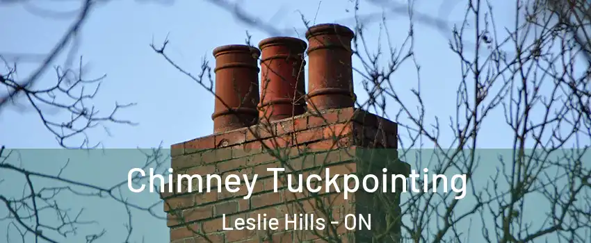  Chimney Tuckpointing Leslie Hills - ON