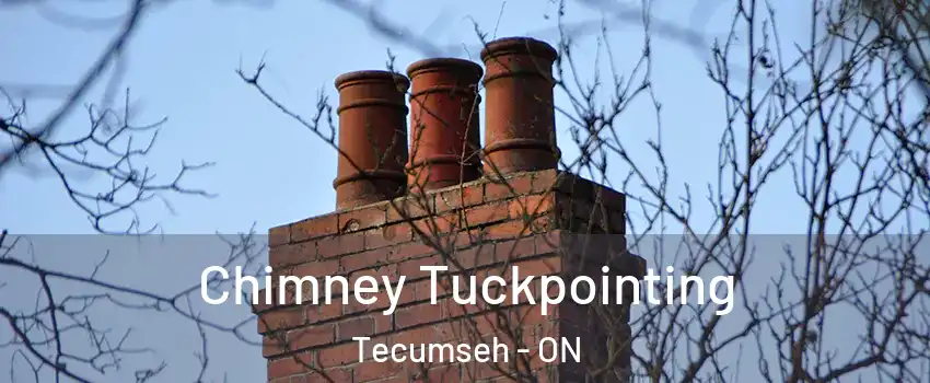  Chimney Tuckpointing Tecumseh - ON