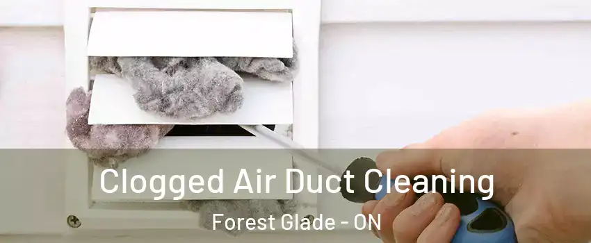  Clogged Air Duct Cleaning Forest Glade - ON