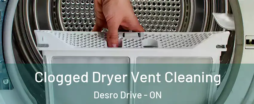 Clogged Dryer Vent Cleaning Desro Drive - ON