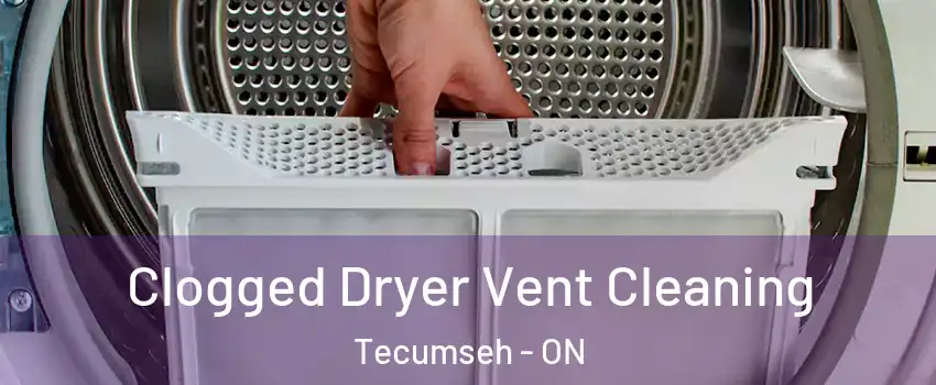 Clogged Dryer Vent Cleaning Tecumseh - ON