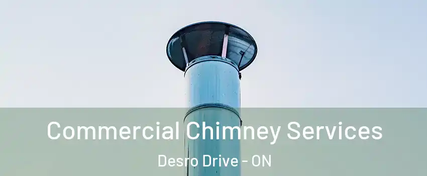  Commercial Chimney Services Desro Drive - ON