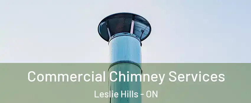  Commercial Chimney Services Leslie Hills - ON