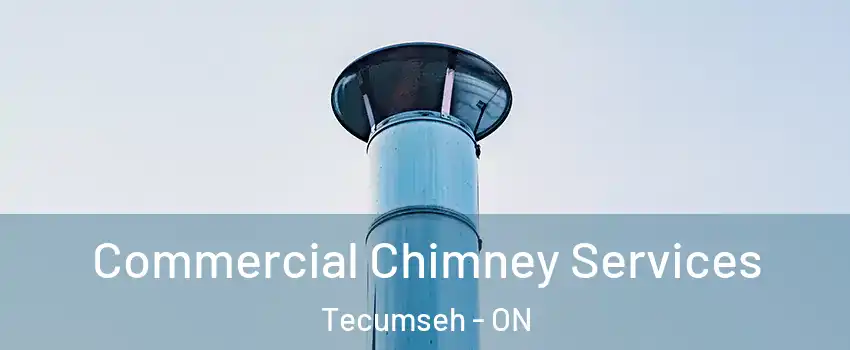  Commercial Chimney Services Tecumseh - ON