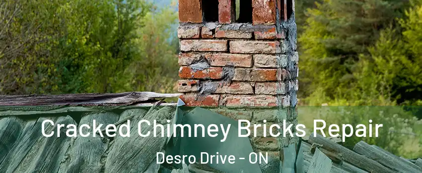 Cracked Chimney Bricks Repair Desro Drive - ON