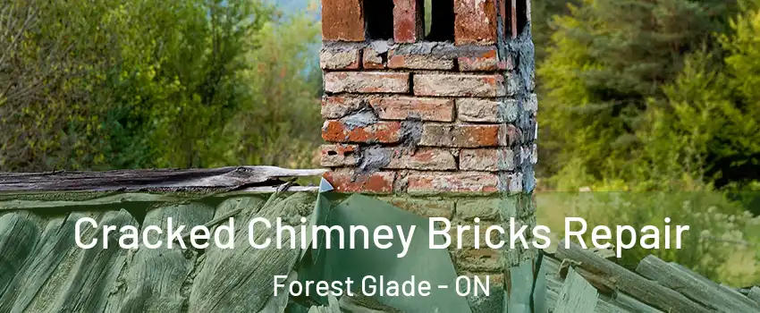  Cracked Chimney Bricks Repair Forest Glade - ON