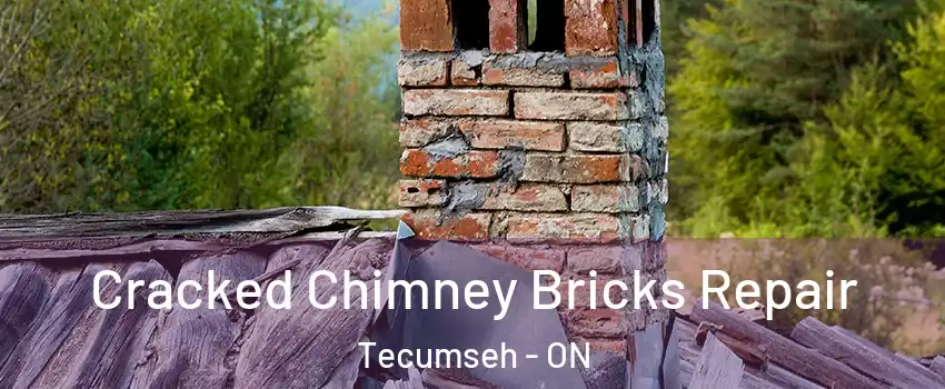  Cracked Chimney Bricks Repair Tecumseh - ON
