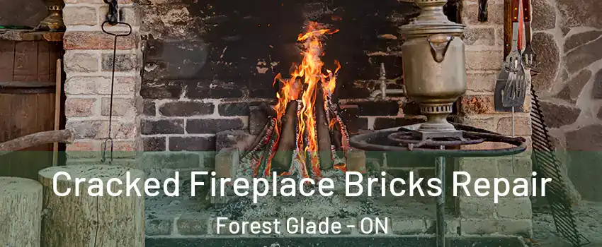  Cracked Fireplace Bricks Repair Forest Glade - ON