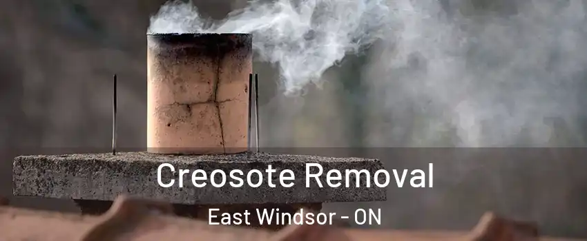  Creosote Removal East Windsor - ON