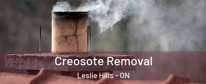  Creosote Removal Leslie Hills - ON