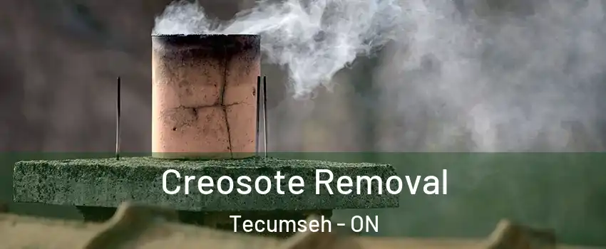  Creosote Removal Tecumseh - ON