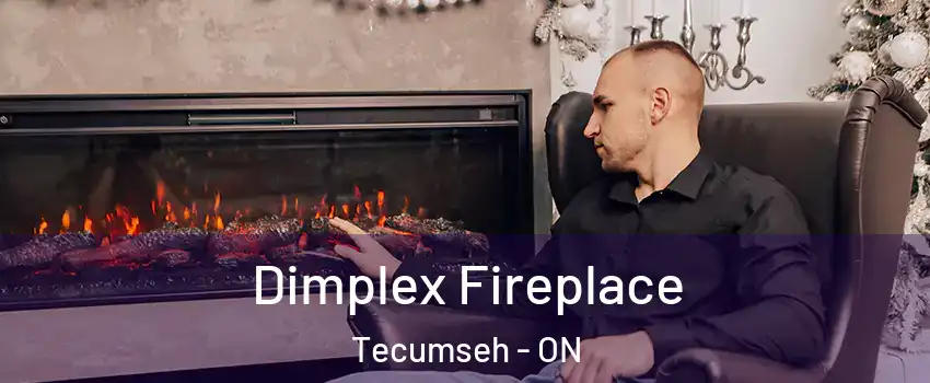  Dimplex Fireplace Tecumseh - ON