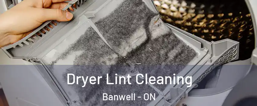  Dryer Lint Cleaning Banwell - ON