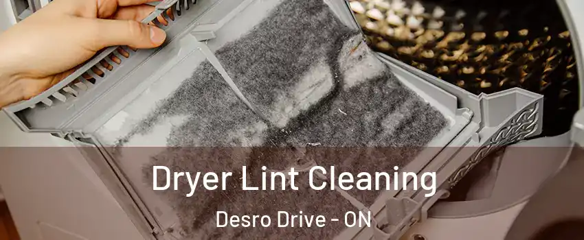  Dryer Lint Cleaning Desro Drive - ON