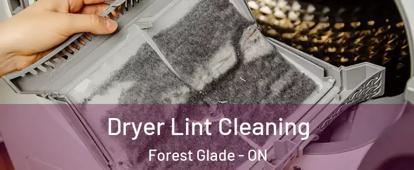  Dryer Lint Cleaning Forest Glade - ON