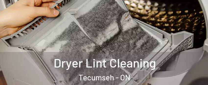  Dryer Lint Cleaning Tecumseh - ON