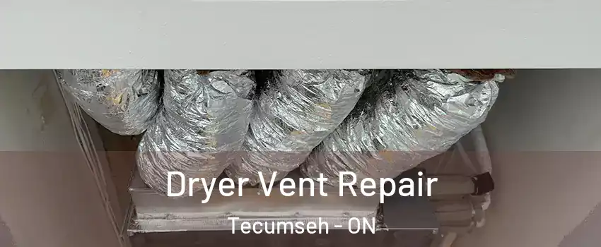  Dryer Vent Repair Tecumseh - ON