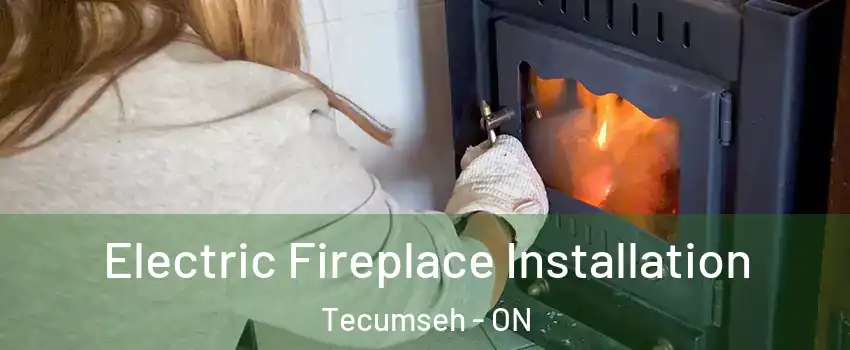  Electric Fireplace Installation Tecumseh - ON