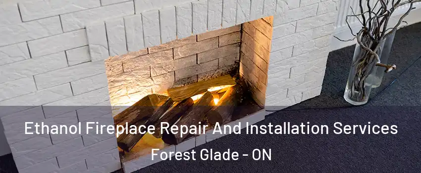  Ethanol Fireplace Repair And Installation Services Forest Glade - ON
