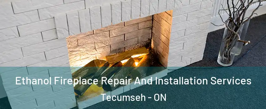  Ethanol Fireplace Repair And Installation Services Tecumseh - ON